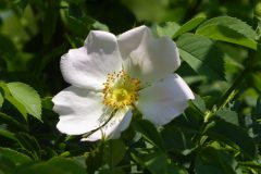 000054-scaled-1