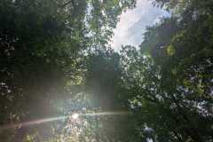 WhatsApp-Image-2026-06-25-at-22.51.36-3