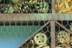 cropped-000093-scaled-1