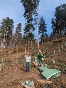 Pflanzaktion Sulzbach